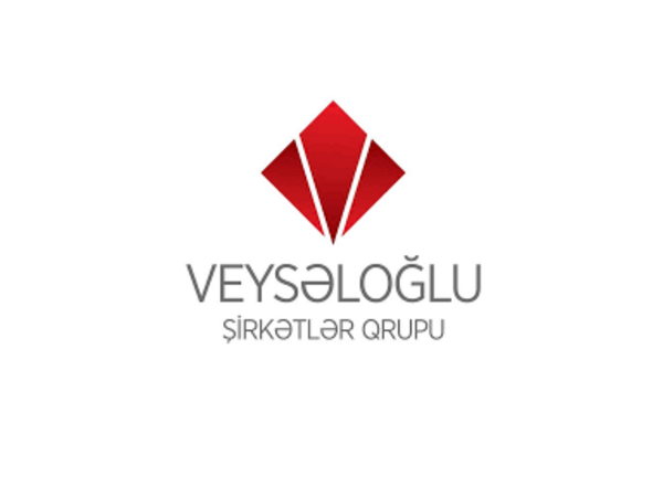 Peşəkarlar &quot;həvəsləndirildi&quot;, dost-tanış mükafatlandırıldı - Jurnalistlər &quot;Veysəloğlu&quot;na etiraz etdi